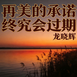 再美的承诺终究会过期