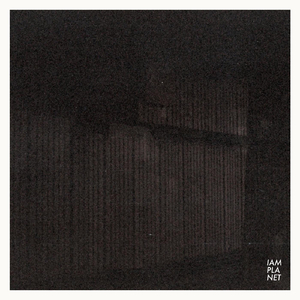 Penguins, Pigeons and Other Circumstances