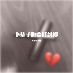 下辈子也要找到你