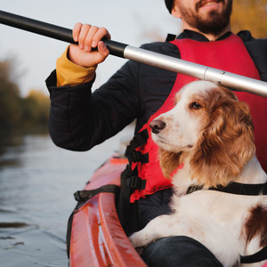 Paws Pad Along Shore