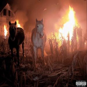 TWEAKING (feat. Shyne Zo)