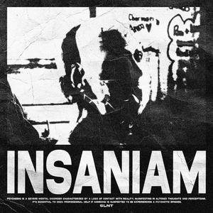 INSANIAM