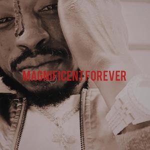 Magnificent Forever