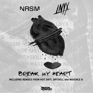Break My Heart (Dryskill Remix)