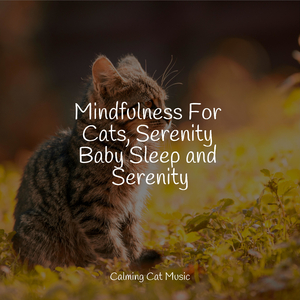 Calmness
