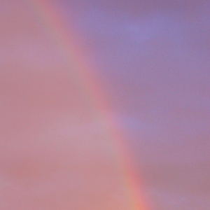 너로 가득했던 하루