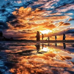 做你心上的野草