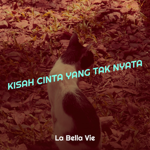 Kisah Cinta Yang Tak Nyata