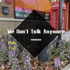 We Don't Talk Anymore