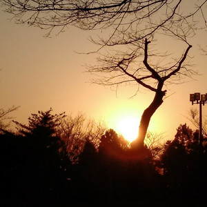 パラダイムシフト