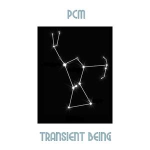 Transient Being