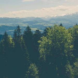 有感freestyle（Prod.黄吉吉）