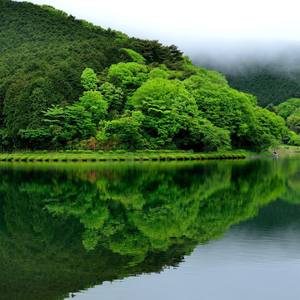 其实没有想象中的那么勇敢