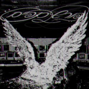 פורש כנפיים