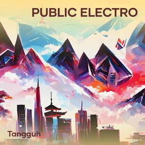 Public Electro
