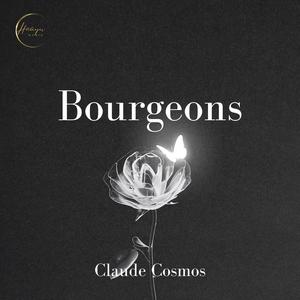 Bourgeons