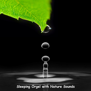 힐링의 시간 (빗소리)