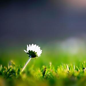 有你的地方就是春天