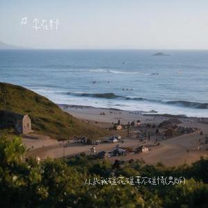 从此我碰花碰草不碰情 (男版)