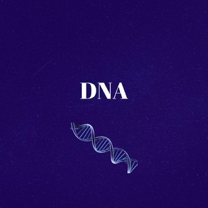 DNA
