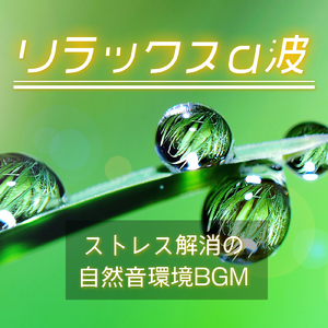 朝一番から癒される心地よい曲