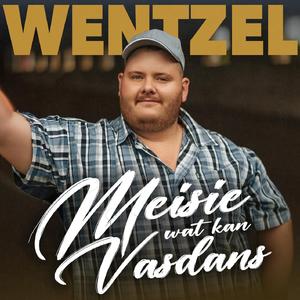 Meisie Wat Kan Vasdans