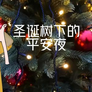 星的歌