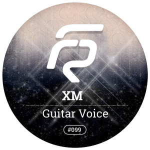 Guitar Voice