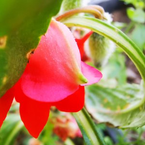 近在咫尺的万里距离