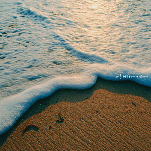 여름 바다에 기대어