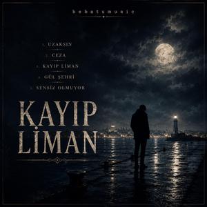 Kayıp Liman