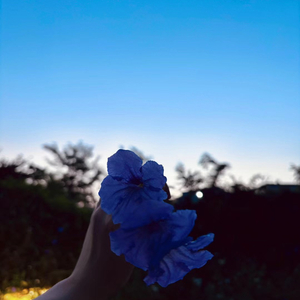 往事prod.by Morrow x FAS