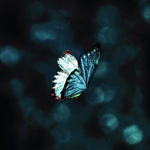 LOVE IS A SWEET PAIN