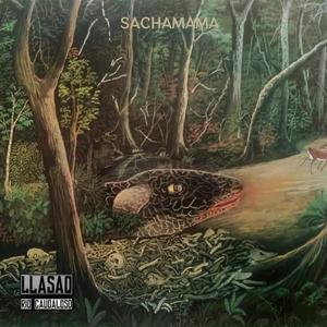 Sachamama