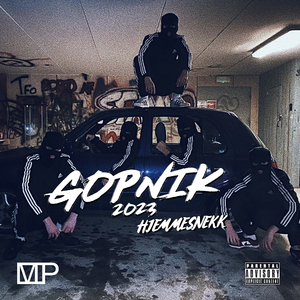 Gopnik 2023 Hjemmesnekk