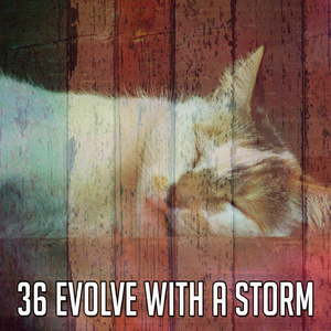 Stuck Out In The Rain