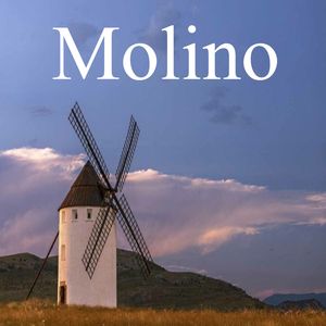 Molino