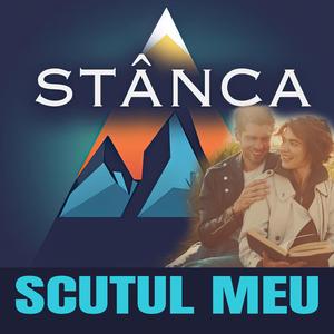 Scutul meu