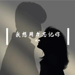 我想用力忘记你