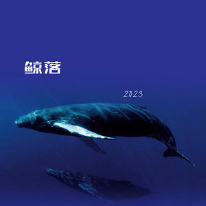 鲸落.