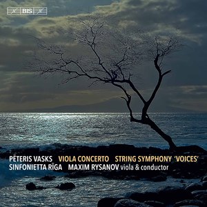 Symphony No. 1 "Voices":I. Voices of Silence