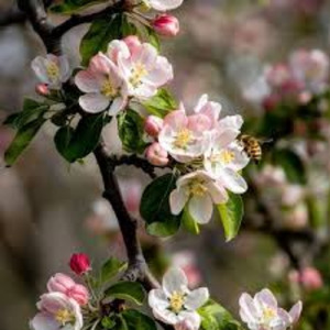 柔らかな風が！