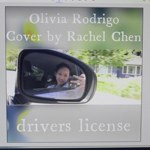 Drivers License