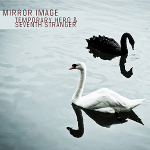 Mirror Image (Extended Version)