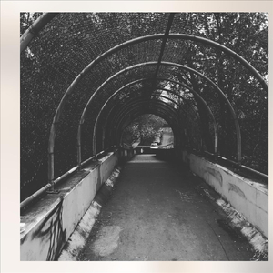 you really dont see it do you; honestly i expected better, but ive been wrong before