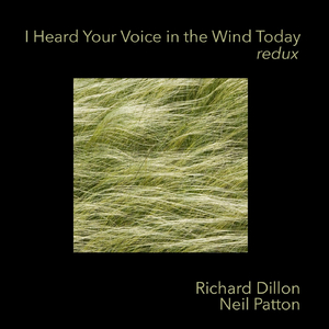 I Heard Your Voice in the Wind Today Redux