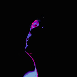 但你说不，你还想挣扎