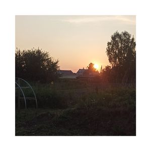 Он или мы (Remastered)