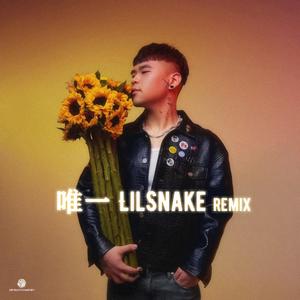 KnowKnow-唯一（Lil Snake Remix）（LilSnake remix）