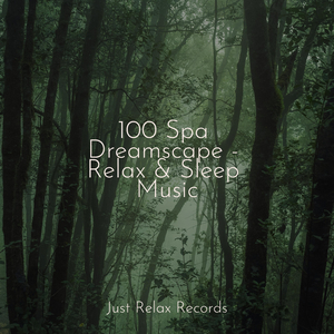 Nighttime Reflections